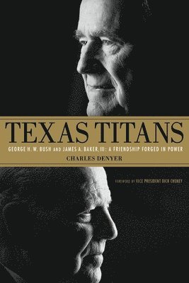 bokomslag Texas Titans