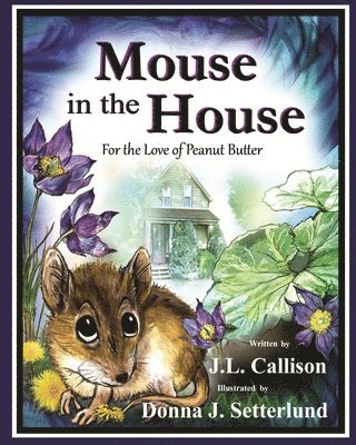 Mouse in the House 1