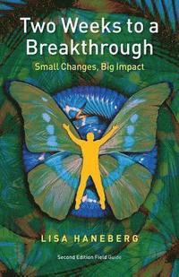 bokomslag Two Weeks to a Breakthrough