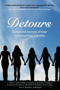 bokomslag Detours: Unexpected Journeys of Hope Conceived from Infertility