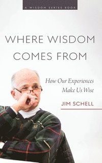 bokomslag Where Wisdom Comes From: How Our Experiences Make Us Wise