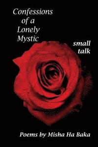 bokomslag Confessions of a Lonely Mystic Small Talk