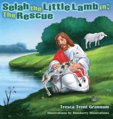 bokomslag Selah the Little Lamb in
