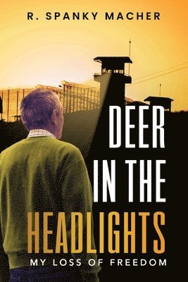 A Deer in the Headlights 1