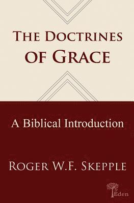 bokomslag Doctrines of Grace: A Biblical Introduction