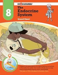 bokomslag The Endocrine System: Grand Slam - Adventure 8