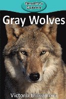 Gray Wolves 1