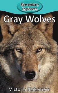 bokomslag Gray Wolves