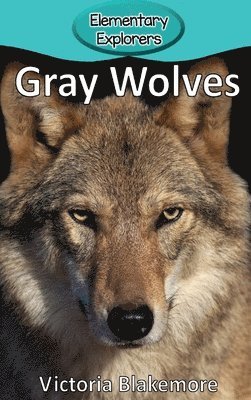 Gray Wolves 1