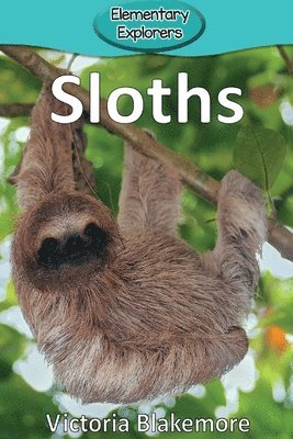 bokomslag Sloths