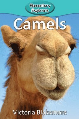 bokomslag Camels