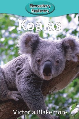 bokomslag Koalas