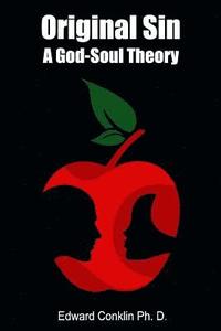 bokomslag Original Sin: A God-Soul Theory