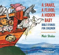bokomslag A Snake, a Flood, a Hidden Baby