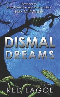 bokomslag Dismal Dreams