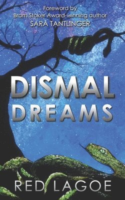 bokomslag Dismal Dreams