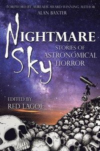 bokomslag Nightmare Sky