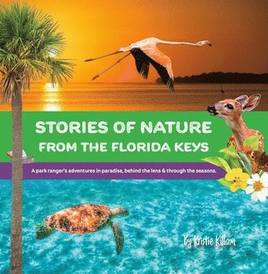 bokomslag Stories of Nature from the Florida Keys: A Park Ranger's Adventures in Paradise Behind the Lens and Through the Seasons