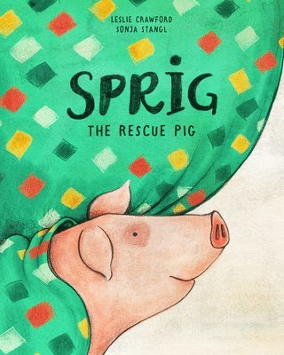 bokomslag Sprig the Rescue Pig