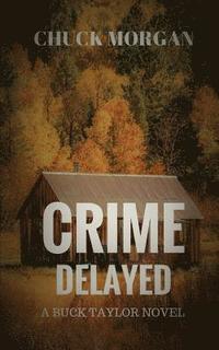 bokomslag Crime Delayed