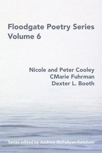 bokomslag Floodgate Series Volume 6