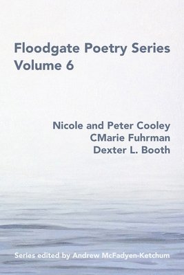 bokomslag Floodgate Series Volume 6
