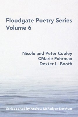 Nicole and Peter Cooley, Cmarie Fuhrman, Dexter L Booth - Floodgate Series Volume 6, Häftad