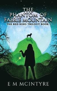 bokomslag The Phantom of Faerie Mountain