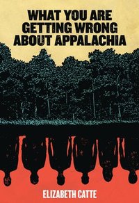 bokomslag What You Are Getting Wrong about Appalachia