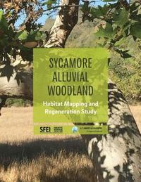 bokomslag Sycamore Alluvial Woodland: Habitat Mapping and Regeneration Study
