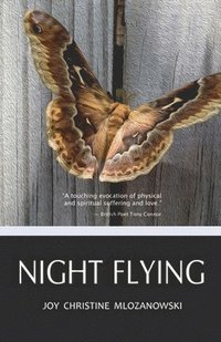 bokomslag Night Flying