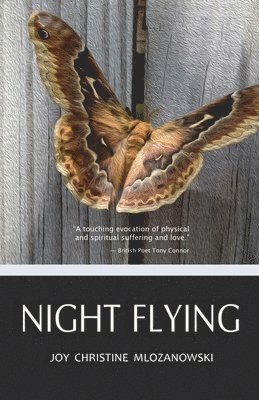 Night Flying 1