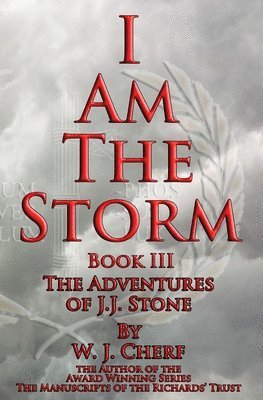 bokomslag I Am the Storm