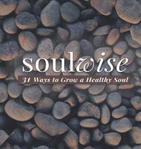 bokomslag Soulwise