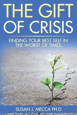 bokomslag Gift of Crisis