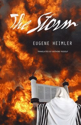 The Storm: The Tragedy of Sinai 1
