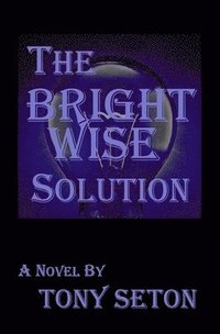 bokomslag The Bright Wise Solution
