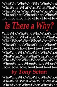 bokomslag Is There a Why?