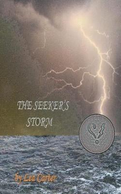 bokomslag The Seeker's Storm