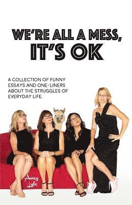 bokomslag We're All a Mess, It's Ok: A Collection of Funny Essays and One-Liners about the Struggles of Everyday Life