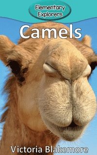 bokomslag Camels
