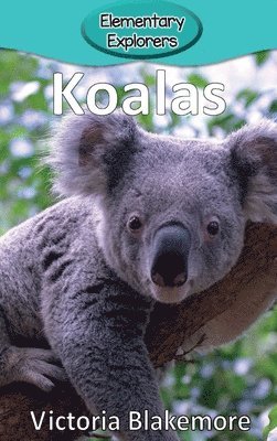 Koalas 1