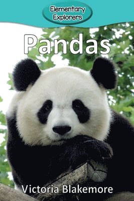 Pandas 1