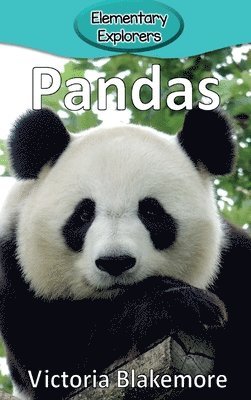 bokomslag Pandas