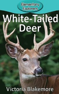 bokomslag White-Tailed Deer