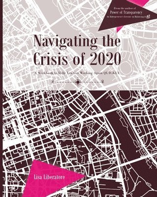 Navigating the Crisis of 2020: A Workbook to Help You Get Working Again QUICKLY 1