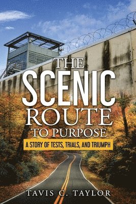 The Scenic Route to Purpose 1