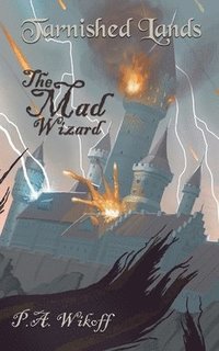 bokomslag The Mad Wizard