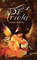 Jocelyn Bly Karney - Priela, Häftad