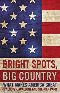bokomslag Bright Spots, Big Country: What Makes America Great